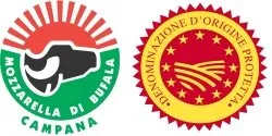 marchi che contraddistinguono la mozzarella di bufala campana DOP